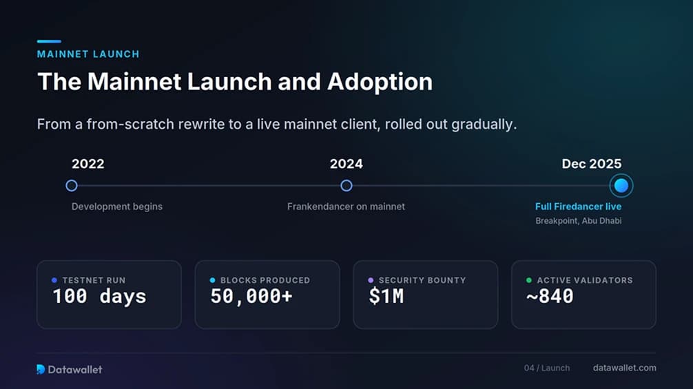 The Mainnet Launch and Adoption