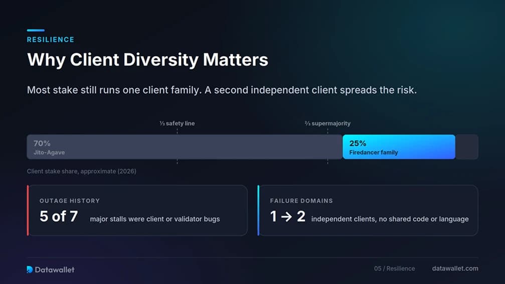 Why Client Diversity Matters