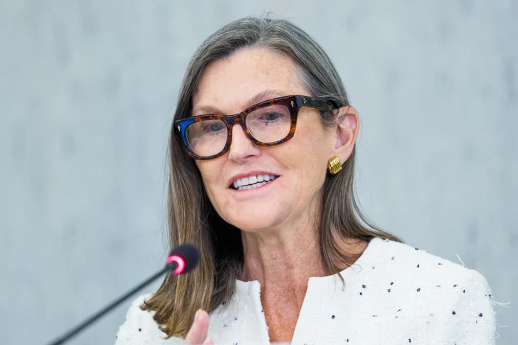 Cathie Wood。