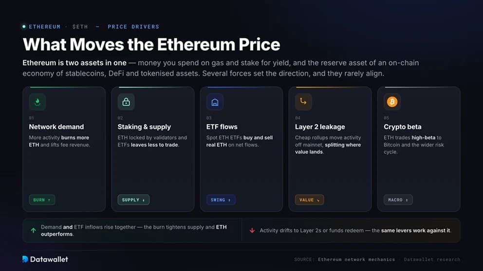 ما الذي يحرك سعر Ethereum