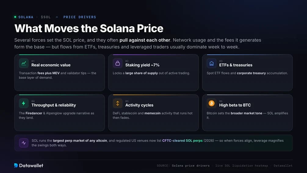 ما الذي يحرك سعر Solana