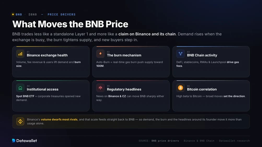 ما الذي يحرك سعر BNB