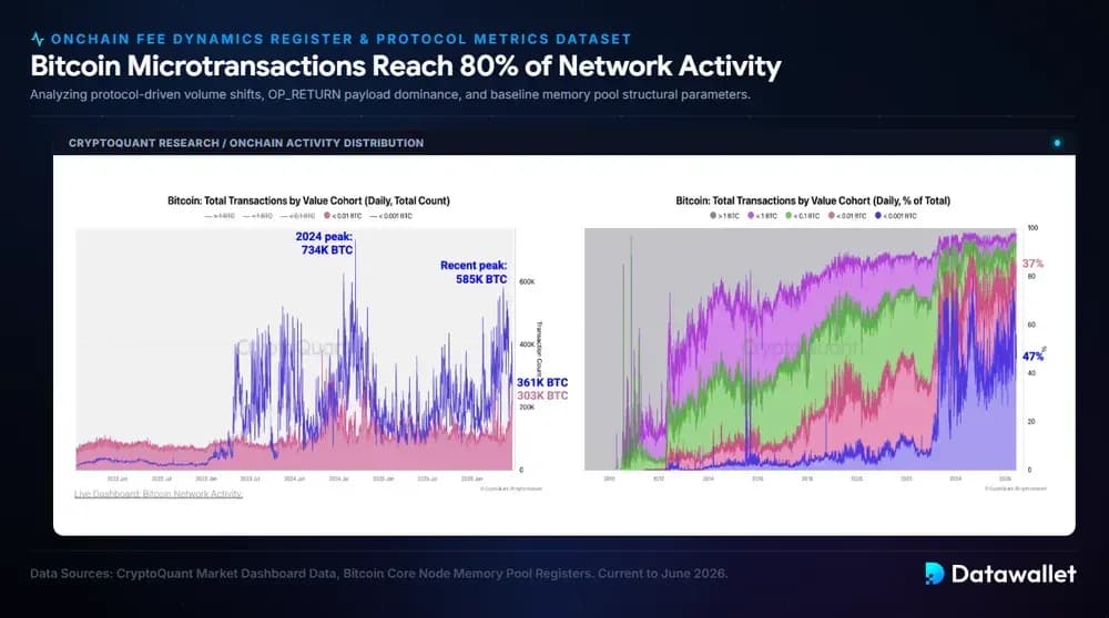 Bitcoin Microtransactions Reach 80% of Network Activity