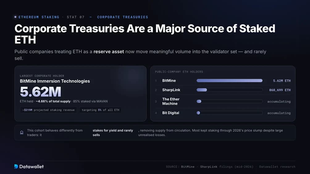 Las tesorerías corporativas se han convertido en una fuente importante de ETH en staking