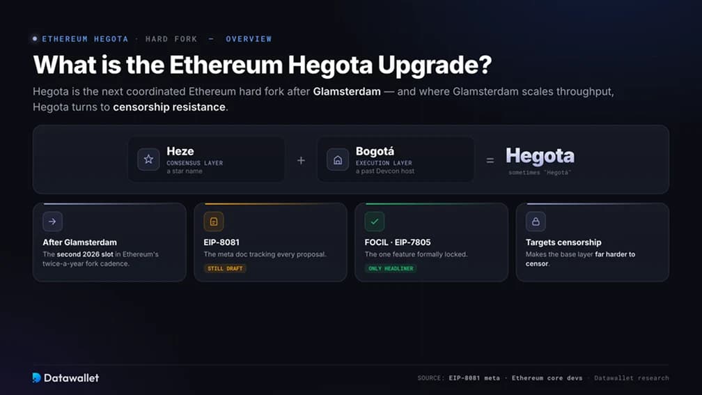 What is the Hegota Upgrade?