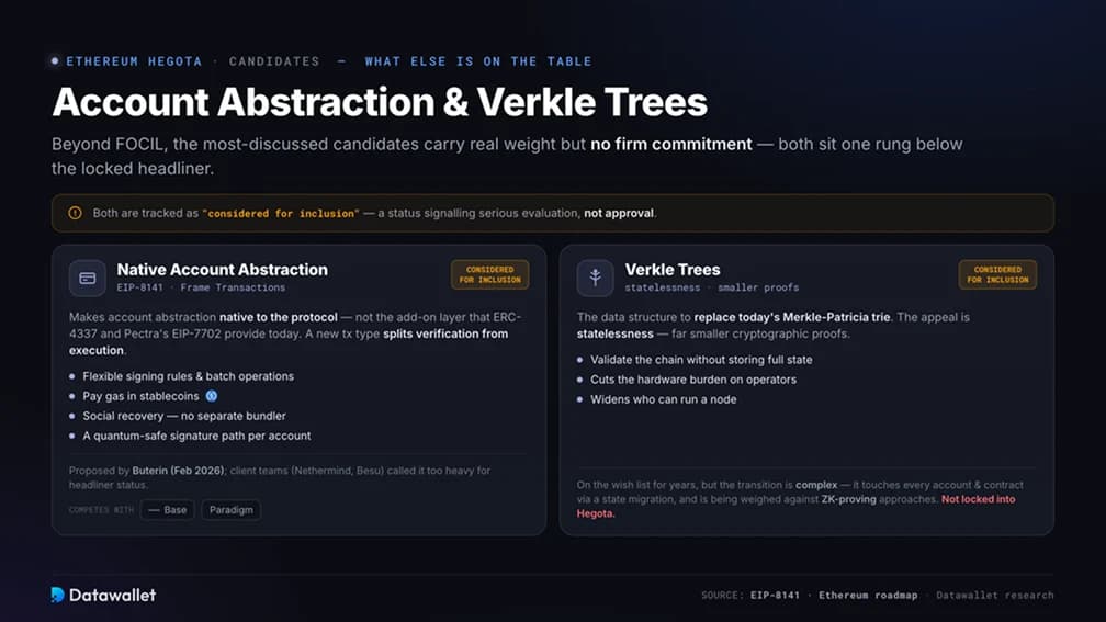 Account Abstraction and Verkle Trees in Hegota