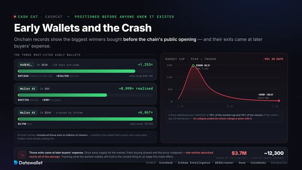 Cash Cat Early Wallets and the Crash