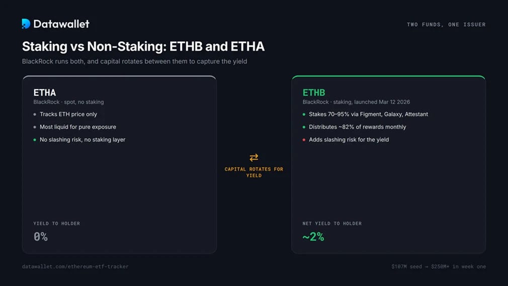 Staking vs Non-Staking Funds: ETHB and ETHA