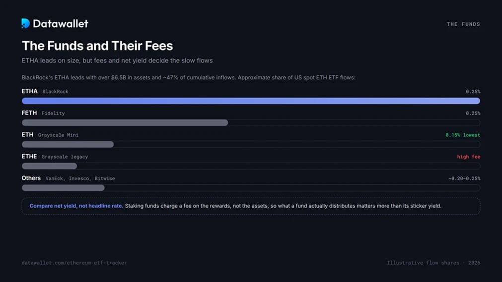 The Ethereum ETF Funds and Their Fees