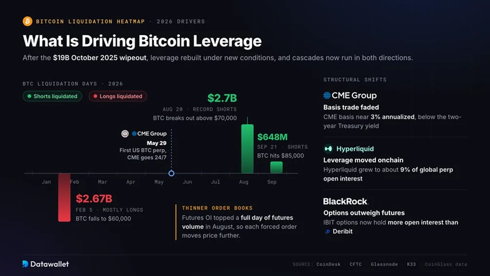What Is Driving Bitcoin Leverage?