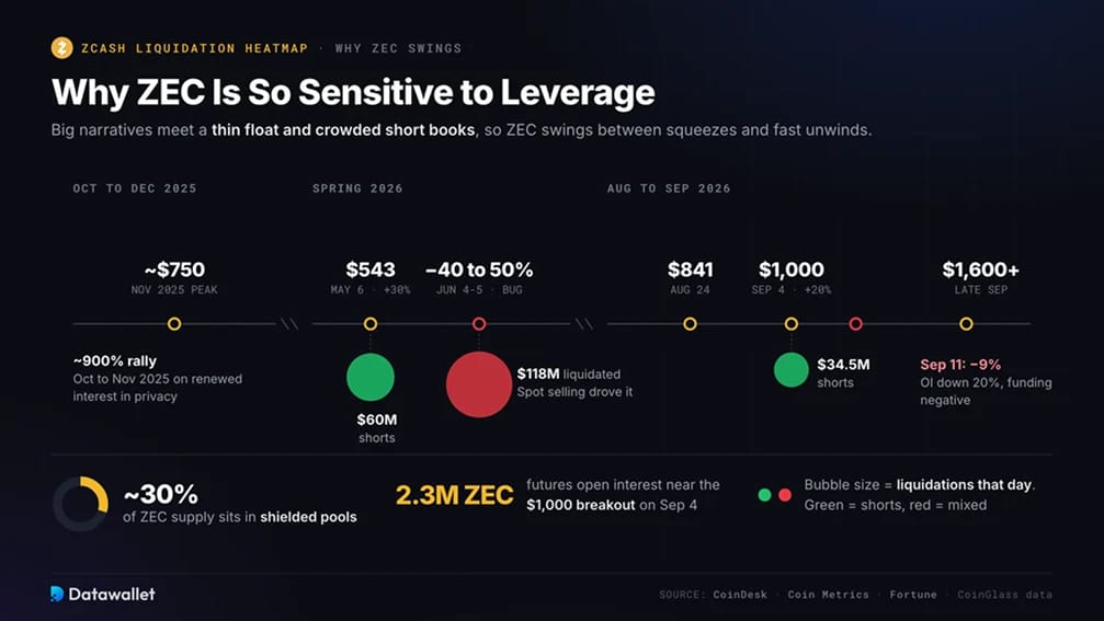 Why Is ZEC So Sensitive to Leverage?