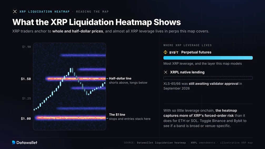 Que montre la carte thermique de liquidation XRP ?