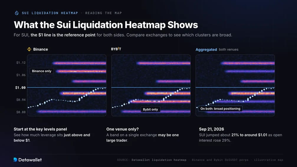 Que montre la carte de liquidation Sui ?
