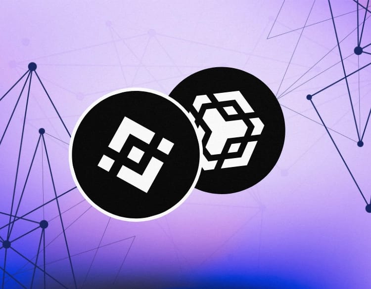 BNB Ecosystem Blooms as Token Breaks $710 All-Time High