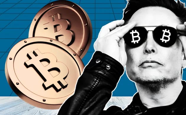 Elon Musk’s America Party Backs Bitcoin Over Fiat
