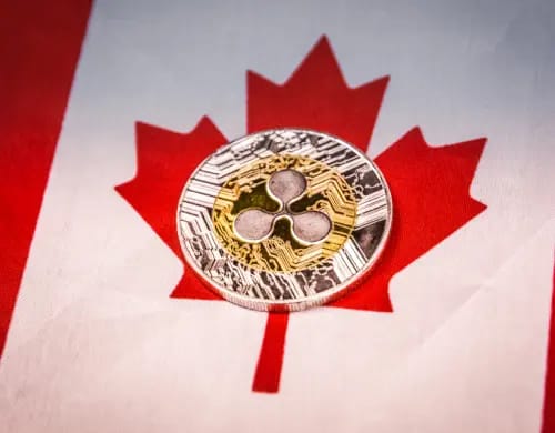 The University of Toronto Starts an XRP Validator