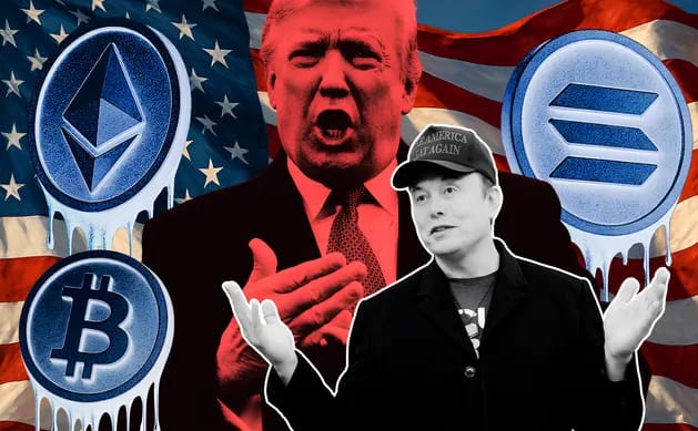 Musk-Trump Conflict Triggers Crypto Market Crash