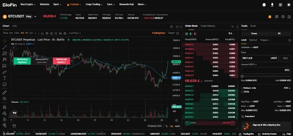 BloFin Futures