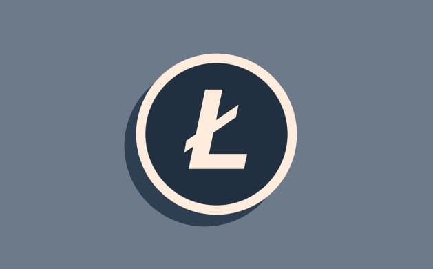 كيفية إضافة Litecoin إلى MetaMask