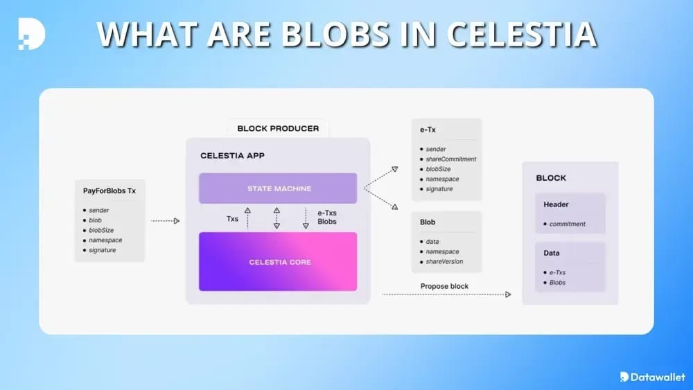 Cosa sono Blobs Celestia