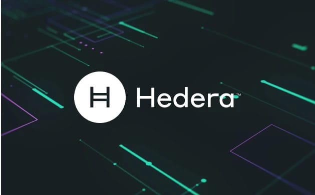 كيفية إضافة Hedera إلى MetaMask