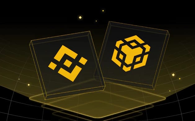 Come Aggiungere Binance Chain testnet a MetaMask