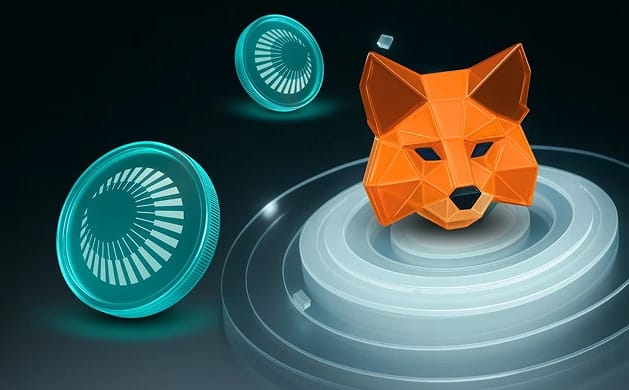 كيفية إضافة Plasma إلى MetaMask (Mainnet وTestnet)