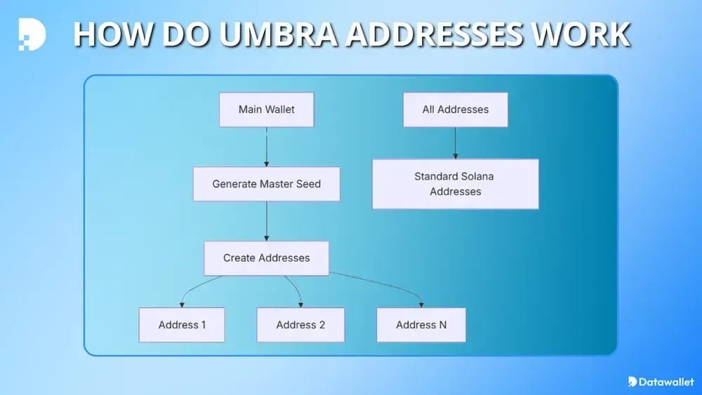 How Do Umbra Addresses Work