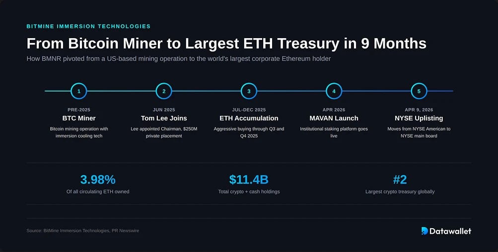 What is BitMine Immersion Technologies?