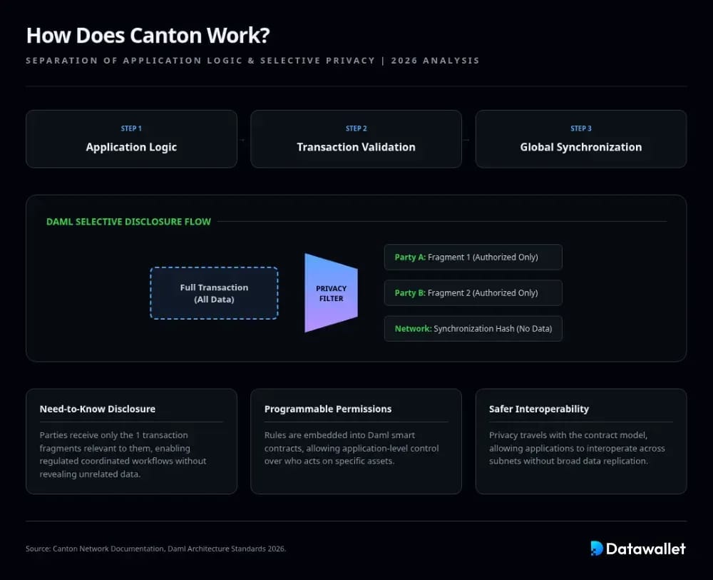 How Does Canton Work