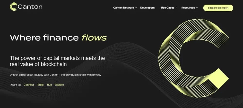 What is Canton Network