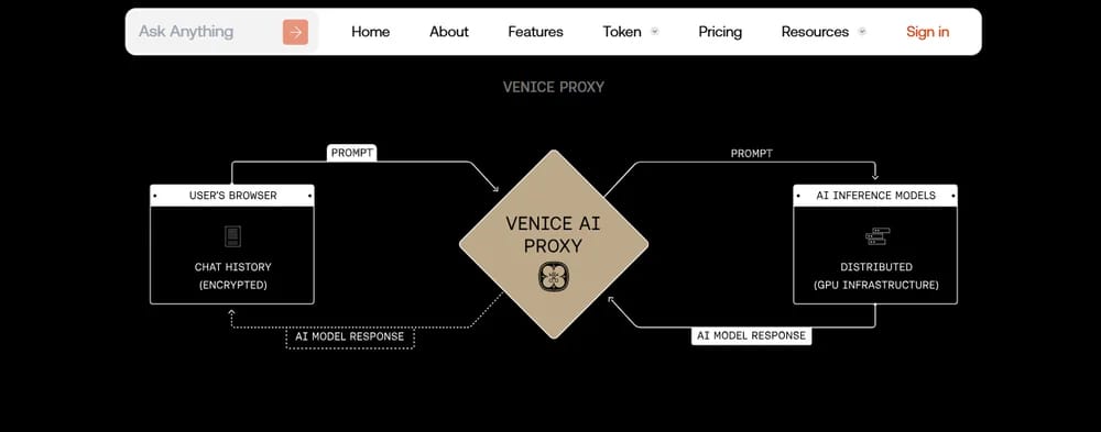 Venice AI Privacy
