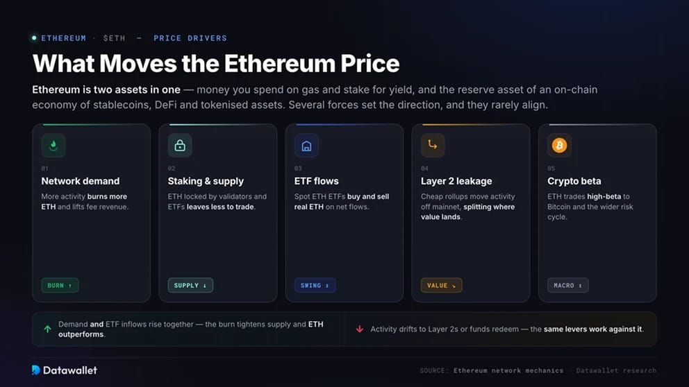 What Moves the Ethereum Price