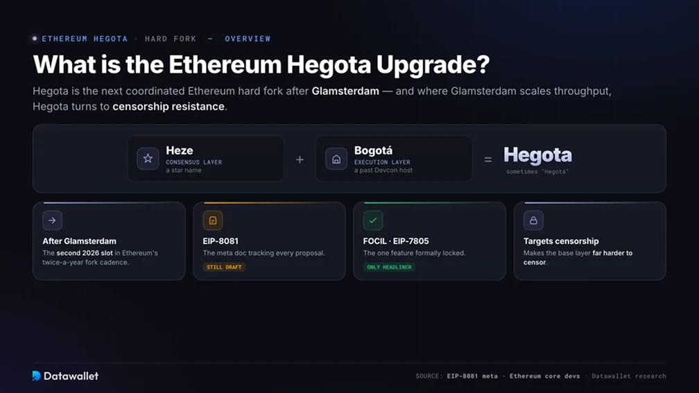 What is the Hegota Upgrade?