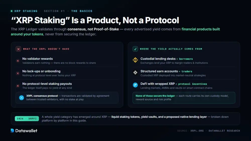 01-什么是-XRP-staking