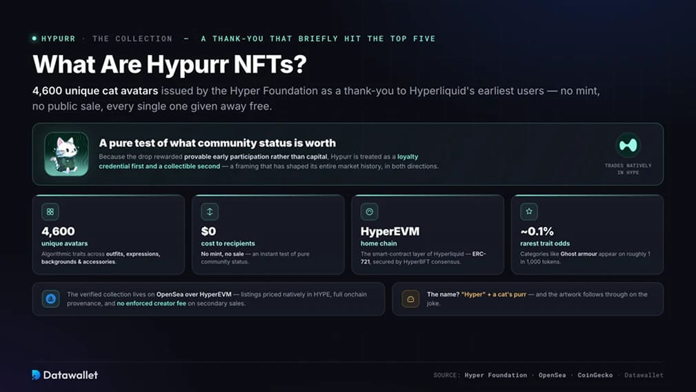 Que sont les NFTs Hypurr ?