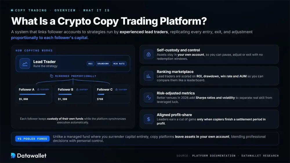 Что такое платформа для copy trading криптовалют