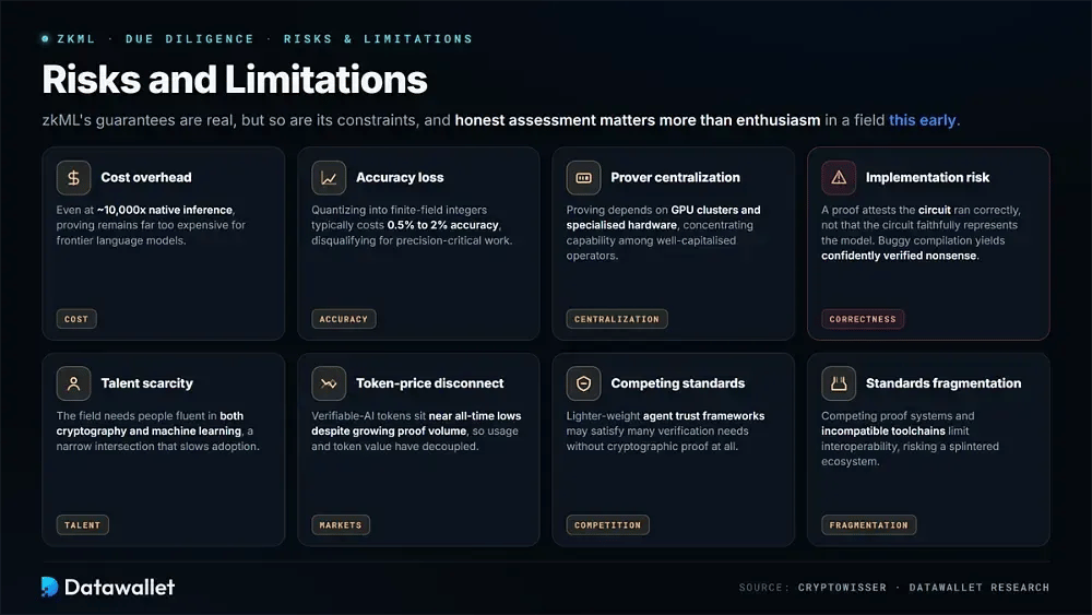 Riesgos y Limitaciones