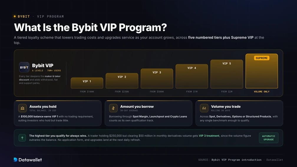 What Is the Bybit VIP Program?
