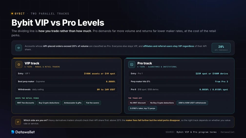 Bybit VIP vs Pro Levels