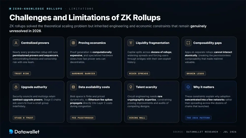 Herausforderungen und Einschränkungen von Zero-Knowledge Rollups
