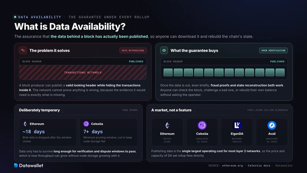 What is Data Availability?