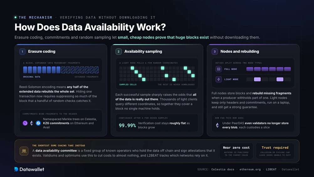 How Does Data Availability Work?