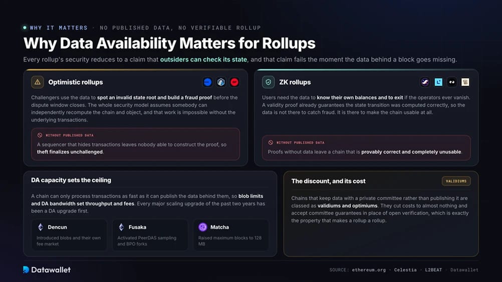 Why Data Availability Matters for Rollups