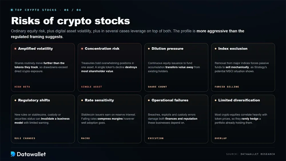 Risks of Crypto Stocks