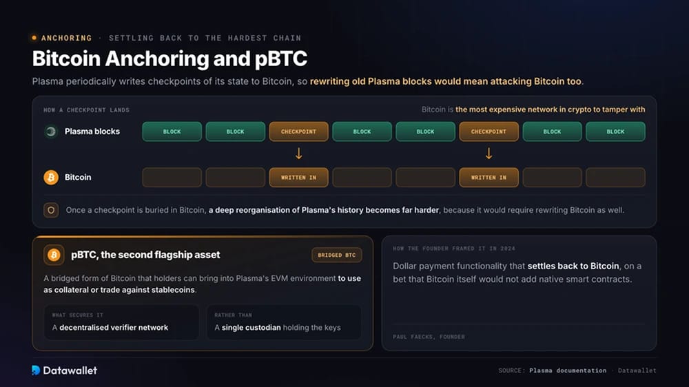 4. Ancrage Bitcoin et pBTC