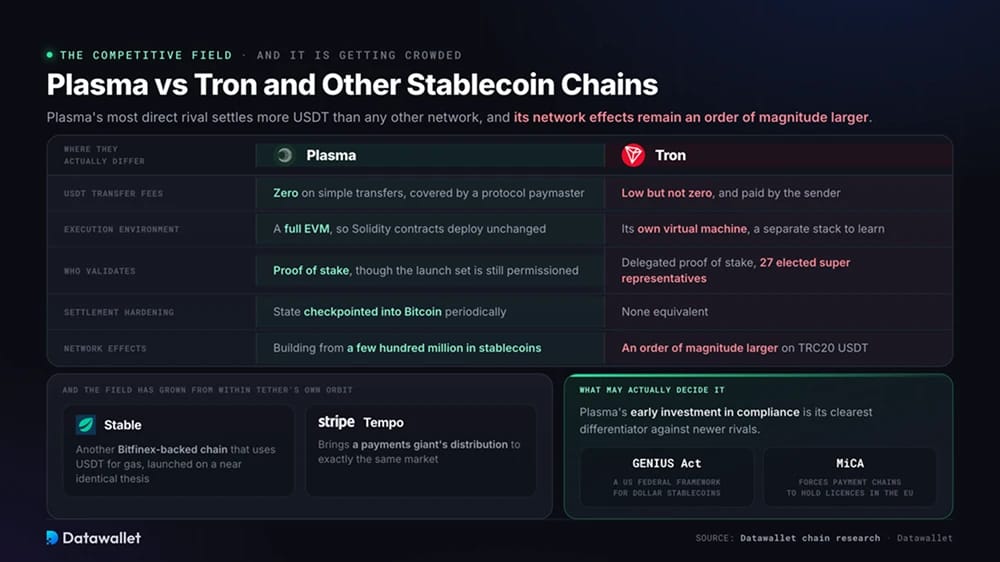 Plasma face à Tron et d'autres chaînes de stablecoins