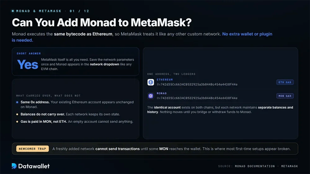 ¿Puedes añadir Monad a MetaMask?