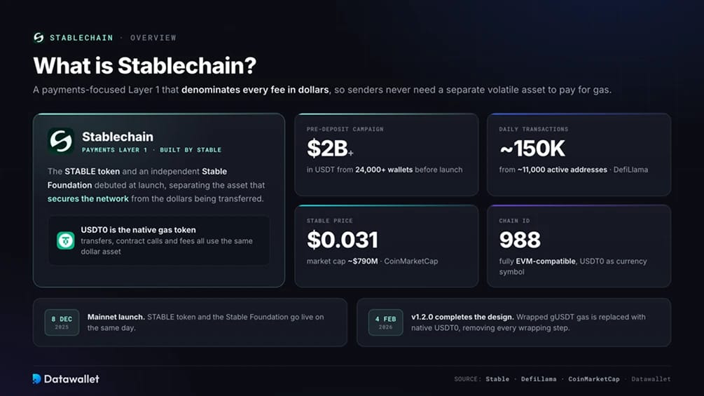 ما هي Stablechain؟