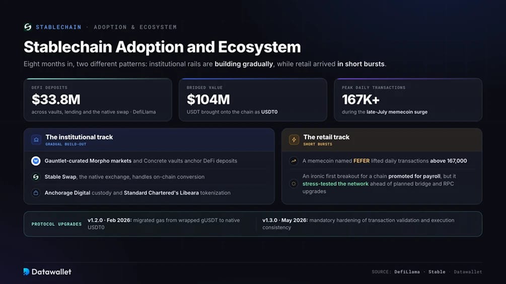 تبني النظام البيئي لـ Stablechain